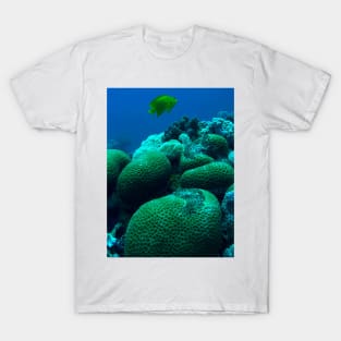 Red Sea Coral Reef T-Shirt